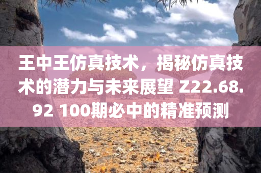 王中王仿真技术，揭秘仿真技术的潜力与未来展望 Z22.68.92 100期必中的精准预测