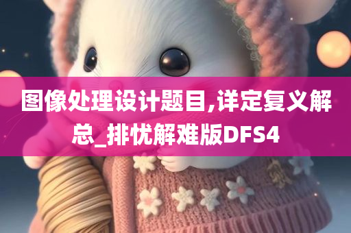 图像处理设计题目,详定复义解总_排忧解难版DFS4