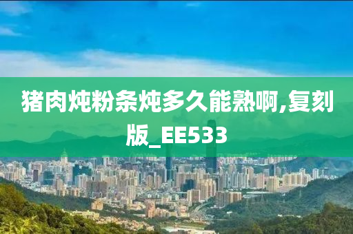 猪肉炖粉条炖多久能熟啊,复刻版_EE533