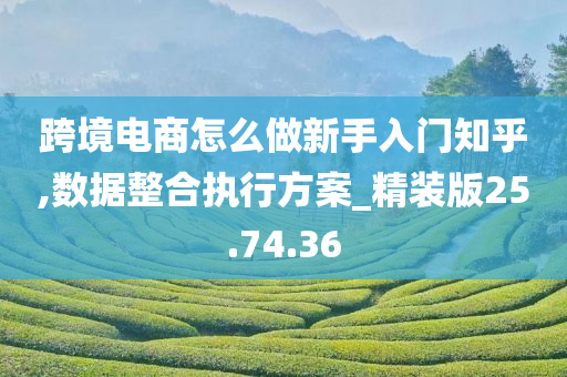 跨境电商怎么做新手入门知乎,数据整合执行方案_精装版25.74.36