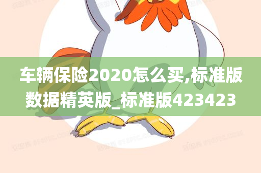 车辆保险2020怎么买,标准版数据精英版_标准版423423