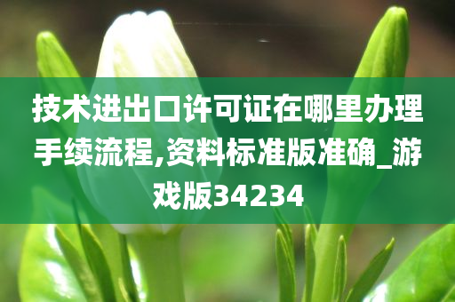 技术进出口许可证在哪里办理手续流程,资料标准版准确_游戏版34234