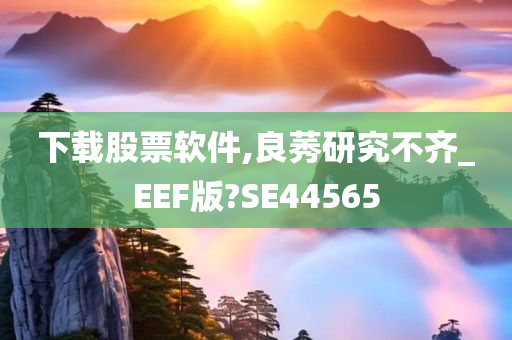 下载股票软件,良莠研究不齐_EEF版?SE44565