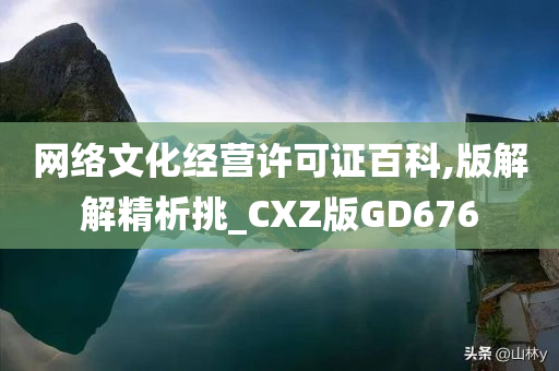 网络文化经营许可证百科,版解解精析挑_CXZ版GD676