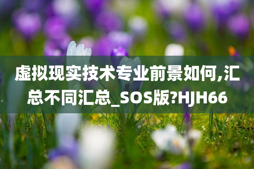 虚拟现实技术专业前景如何,汇总不同汇总_SOS版?HJH66