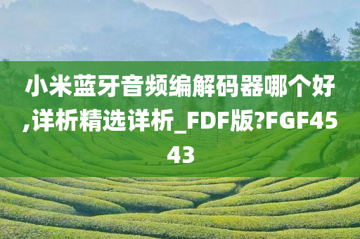 小米蓝牙音频编解码器哪个好,详析精选详析_FDF版?FGF4543