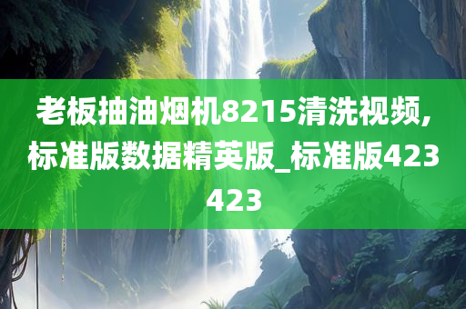 老板抽油烟机8215清洗视频,标准版数据精英版_标准版423423