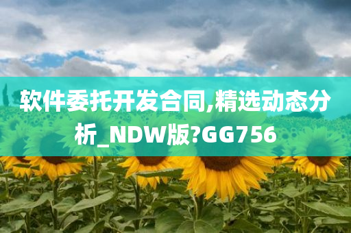 软件委托开发合同,精选动态分析_NDW版?GG756