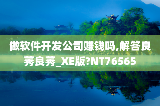 做软件开发公司赚钱吗,解答良莠良莠_XE版?NT76565