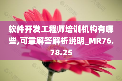 软件开发工程师培训机构有哪些,可靠解答解析说明_MR76.78.25