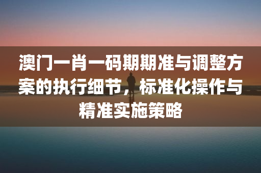 澳门一肖一码期期准与调整方案的执行细节，标准化操作与精准实施策略