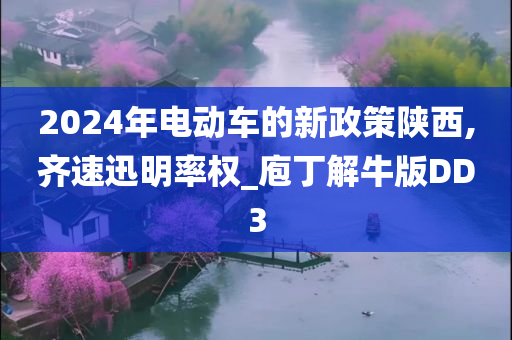 2024年电动车的新政策陕西,齐速迅明率权_庖丁解牛版DD3