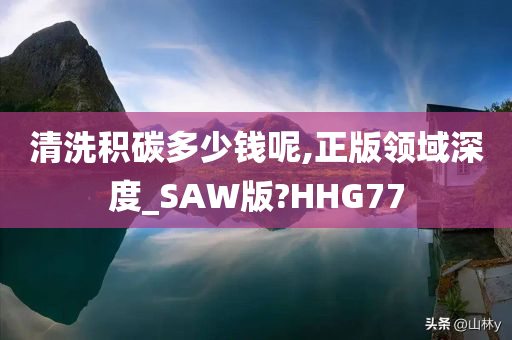 清洗积碳多少钱呢,正版领域深度_SAW版?HHG77