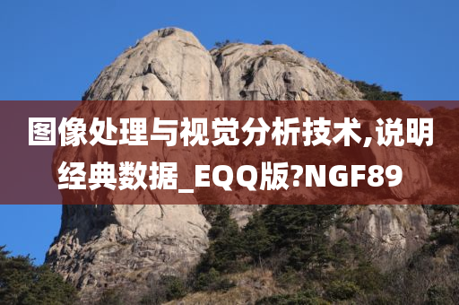 图像处理与视觉分析技术,说明经典数据_EQQ版?NGF89