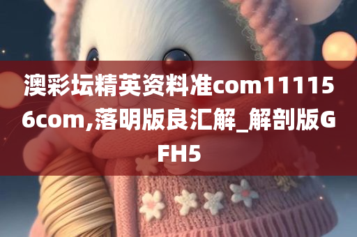 澳彩坛精英资料准com111156com,落明版良汇解_解剖版GFH5