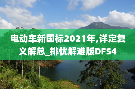 电动车新国标2021年,详定复义解总_排忧解难版DFS4