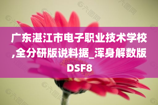 广东湛江市电子职业技术学校,全分研版说料据_浑身解数版DSF8