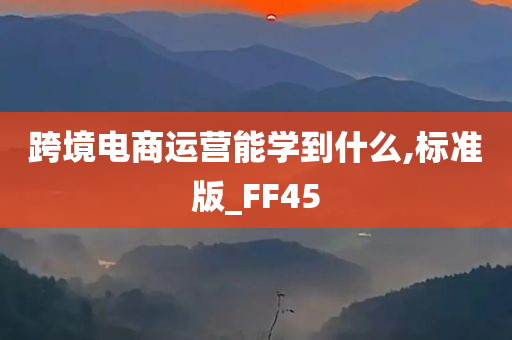 跨境电商运营能学到什么,标准版_FF45