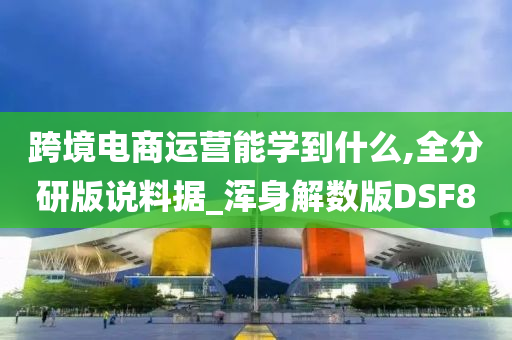 跨境电商运营能学到什么,全分研版说料据_浑身解数版DSF8