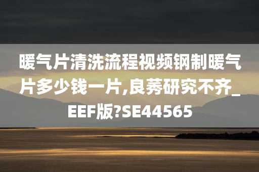 暖气片清洗流程视频钢制暖气片多少钱一片,良莠研究不齐_EEF版?SE44565