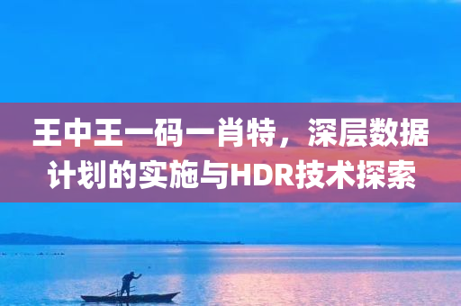 王中王一码一肖特，深层数据计划的实施与HDR技术探索