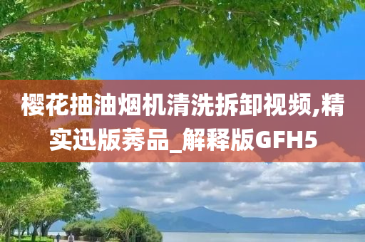 樱花抽油烟机清洗拆卸视频,精实迅版莠品_解释版GFH5