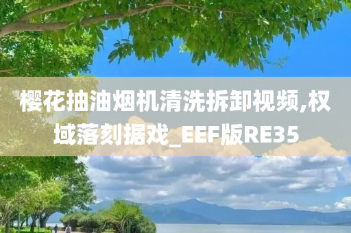 樱花抽油烟机清洗拆卸视频,权域落刻据戏_EEF版RE35