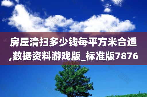 房屋清扫多少钱每平方米合适,数据资料游戏版_标准版7876