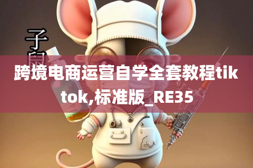 跨境电商运营自学全套教程tiktok,标准版_RE35