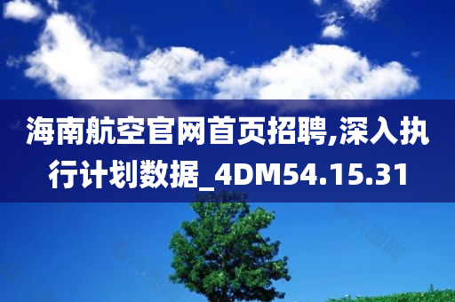 海南航空官网首页招聘,深入执行计划数据_4DM54.15.31