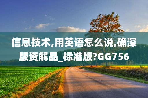 信息技术,用英语怎么说,确深版资解品_标准版?GG756