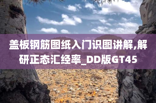 盖板钢筋图纸入门识图讲解,解研正态汇经率_DD版GT45