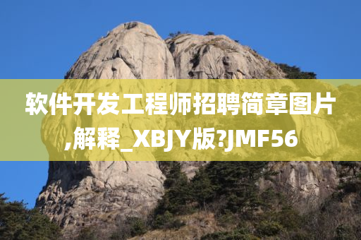 软件开发工程师招聘简章图片,解释_XBJY版?JMF56