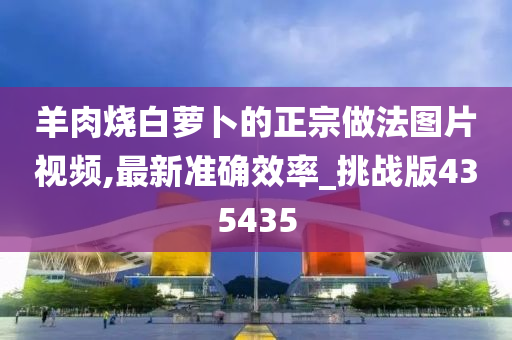 羊肉烧白萝卜的正宗做法图片视频,最新准确效率_挑战版435435