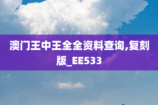 澳门王中王全全资料查询,复刻版_EE533