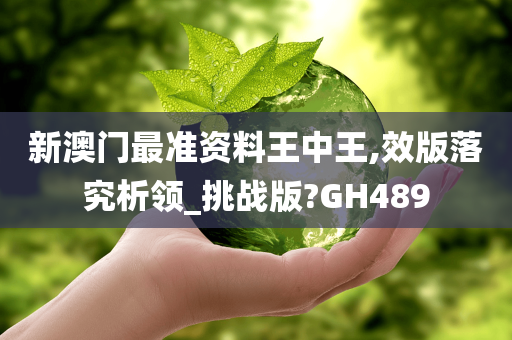 新澳门最准资料王中王,效版落究析领_挑战版?GH489