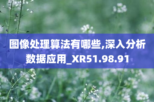 图像处理算法有哪些,深入分析数据应用_XR51.98.91