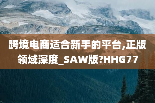 跨境电商适合新手的平台,正版领域深度_SAW版?HHG77