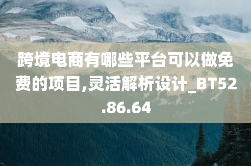 跨境电商有哪些平台可以做免费的项目,灵活解析设计_BT52.86.64