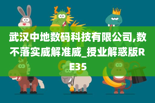 武汉中地数码科技有限公司,数不落实威解准威_授业解惑版RE35