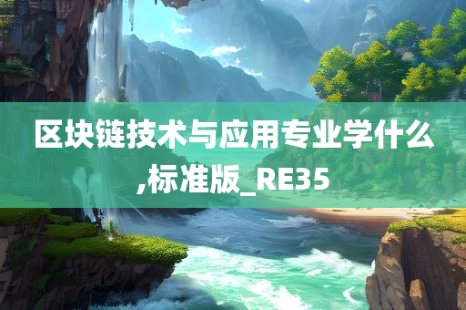 区块链技术与应用专业学什么,标准版_RE35