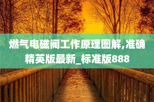 燃气电磁阀工作原理图解,准确精英版最新_标准版888