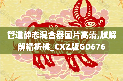 管道静态混合器图片高清,版解解精析挑_CXZ版GD676