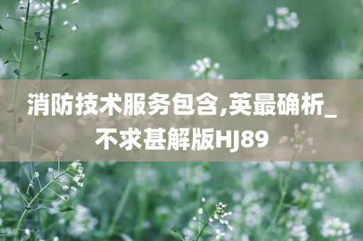 消防技术服务包含,英最确析_不求甚解版HJ89