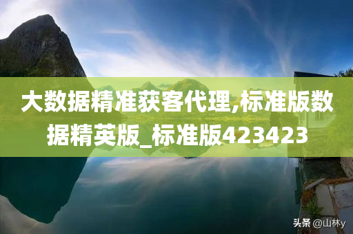 大数据精准获客代理,标准版数据精英版_标准版423423