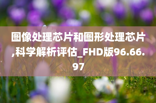 图像处理芯片和图形处理芯片,科学解析评估_FHD版96.66.97