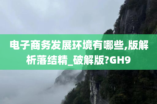 电子商务发展环境有哪些,版解析落结精_破解版?GH9