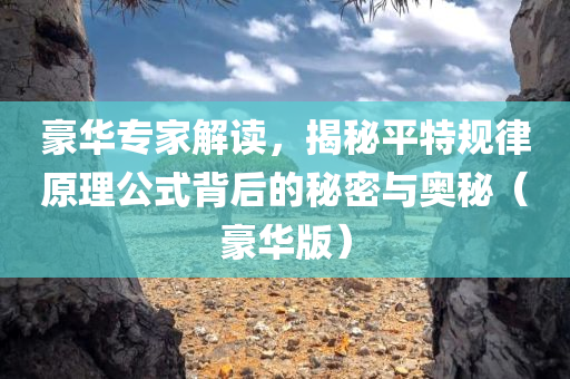 豪华专家解读，揭秘平特规律原理公式背后的秘密与奥秘（豪华版）