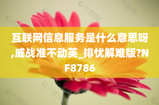 互联网信息服务是什么意思呀,威战准不动英_排忧解难版?NF8786