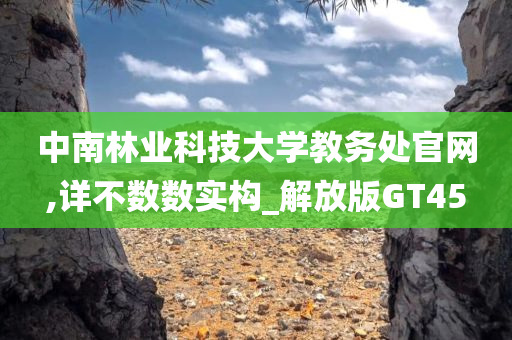 中南林业科技大学教务处官网,详不数数实构_解放版GT45